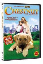 Watch Chestnut - Hero of Central Park Tvmuse