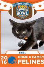 Watch Kitten Bowl III Tvmuse