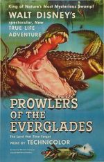 Watch Prowlers of the Everglades (Short 1953) Tvmuse