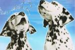 Watch 101 Dalmatians Sing Along Tvmuse