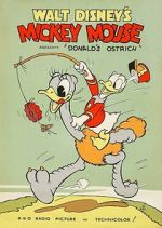 Watch Donald\'s Ostrich (Short 1937) Tvmuse