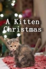 Watch A Kitten Christmas Tvmuse
