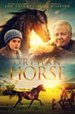 Watch Orphan Horse Tvmuse