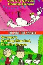Watch Snoopy's Getting Married Charlie Brown Tvmuse