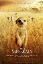 Watch The Meerkats Tvmuse