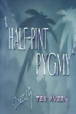 Watch Half-Pint Pygmy Tvmuse