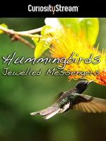 Watch Hummingbirds Jewelled Messengers Tvmuse