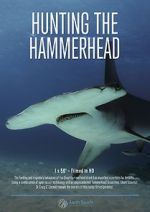 Watch Hunting the Hammerhead Tvmuse