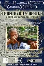 Watch A Panther in Africa Tvmuse