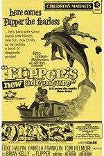 Watch Flippers New Adventure Tvmuse