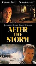 Watch After the Storm Tvmuse