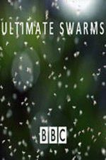 Watch Ultimate Swarms Tvmuse