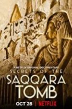 Watch Secrets of the Saqqara Tomb Tvmuse