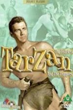 Watch Tarzan and the Trappers Tvmuse