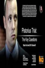 Watch Pistorius Trial: The Key Questions Tvmuse