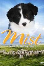 Watch Mist: The Tale of a Sheepdog Puppy Tvmuse