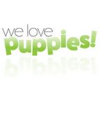 Watch We Love Puppies Tvmuse