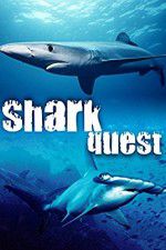 Watch Shark Quest Tvmuse