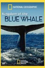 Watch National Geographic Kingdom of Blue Whale Tvmuse