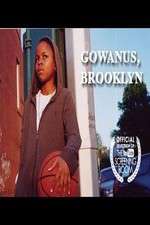 Watch Gowanus, Brooklyn Tvmuse