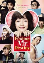 Watch Finding Mr. Destiny Tvmuse