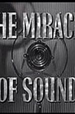 Watch The Miracle of Sound Tvmuse