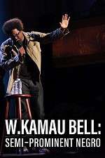 Watch W. Kamau Bell: Semi-Promenint Negro Tvmuse