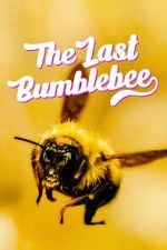 Watch The Last Bumblebee Tvmuse