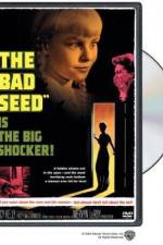 Watch The Bad Seed Tvmuse