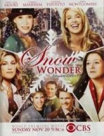 Watch Snow Wonder Tvmuse