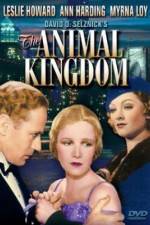Watch The Animal Kingdom Tvmuse