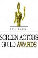 Watch The 20th Annual Screen Actors Guild Awards Tvmuse