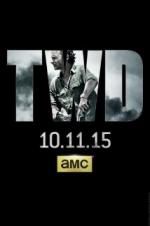 Watch The Walking Dead Tvmuse