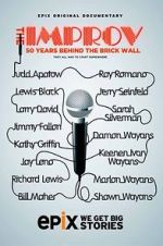 Watch The Improv: 50 Years Behind the Brick Wall (TV Special 2013) Tvmuse