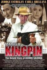 Watch Manila Kingpin: The Asiong Salonga Story Tvmuse