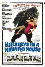 Watch Hillbillys in a Haunted House Tvmuse