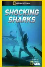 Watch Shocking Sharks Tvmuse
