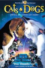 Watch Cats & Dogs Tvmuse