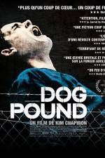 Watch Dog Pound Tvmuse