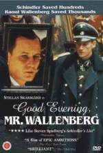 Watch Good Evening, Mr. Wallenberg Tvmuse