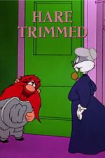 Watch Hare Trimmed (Short 1953) Tvmuse