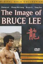 Watch The Bruce Lee Story - (Meng nan da zei yan zhi hu) Tvmuse