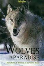 Watch Wolves in Paradise Tvmuse
