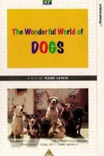Watch The Wonderful World of Dogs Tvmuse