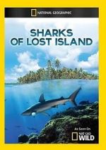 Watch Sharks of Lost Island Tvmuse