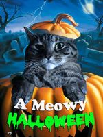 Watch A Meowy Halloween Tvmuse