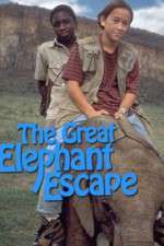 Watch The Great Elephant Escape Tvmuse