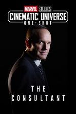 Watch Marvel One-Shot: The Consultant Tvmuse