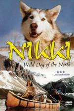 Watch Nikki Wild Dog of the North Tvmuse
