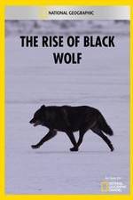 Watch The Rise of Black Wolf Tvmuse